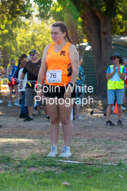 run-start244