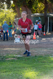 run-start246