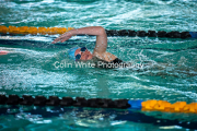 swim007