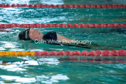 swim008