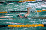 swim011
