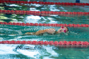 swim013