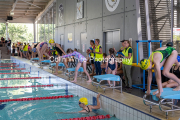 swim016