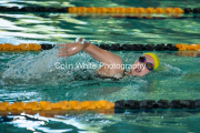 swim019