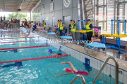swim026