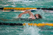 swim028