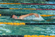 swim029