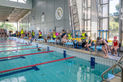 swim033