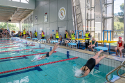 swim034