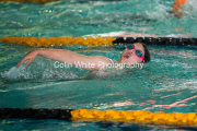 swim036