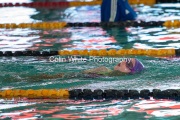 swim040