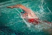 swim043