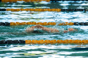 swim050
