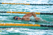 swim059
