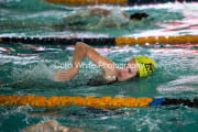 swim066