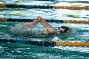 swim067