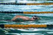 swim073