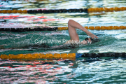 swim077