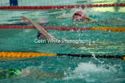 swim084