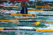 swim085