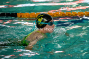 swim102