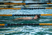 swim119