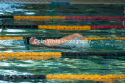swim134