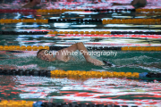 swim138