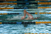 swim141
