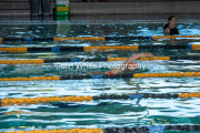 swim148