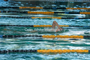 swim149