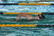 swim156