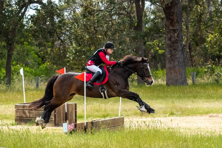 State Hickstead Dardanup